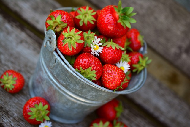 Food Equity in Urban Spaces: Ensuring Access to Healthy Food for All Communities